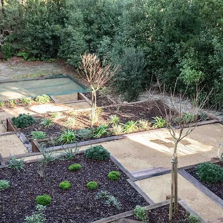 Les Ombrees 3* Arcachon