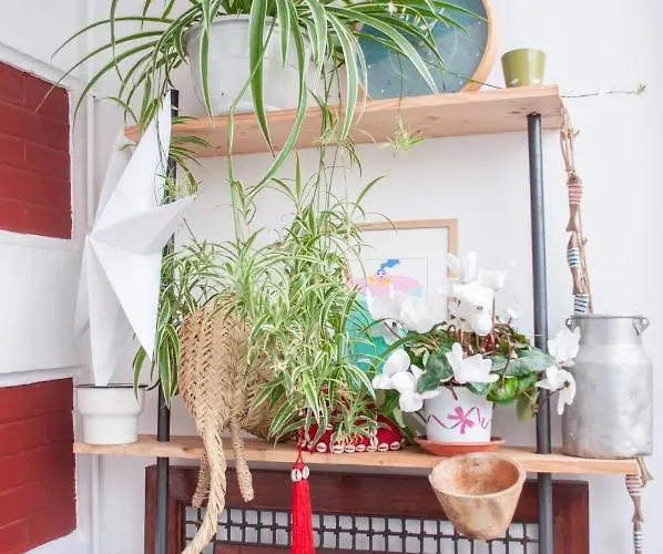 Pensionat Les Ombrees 3*